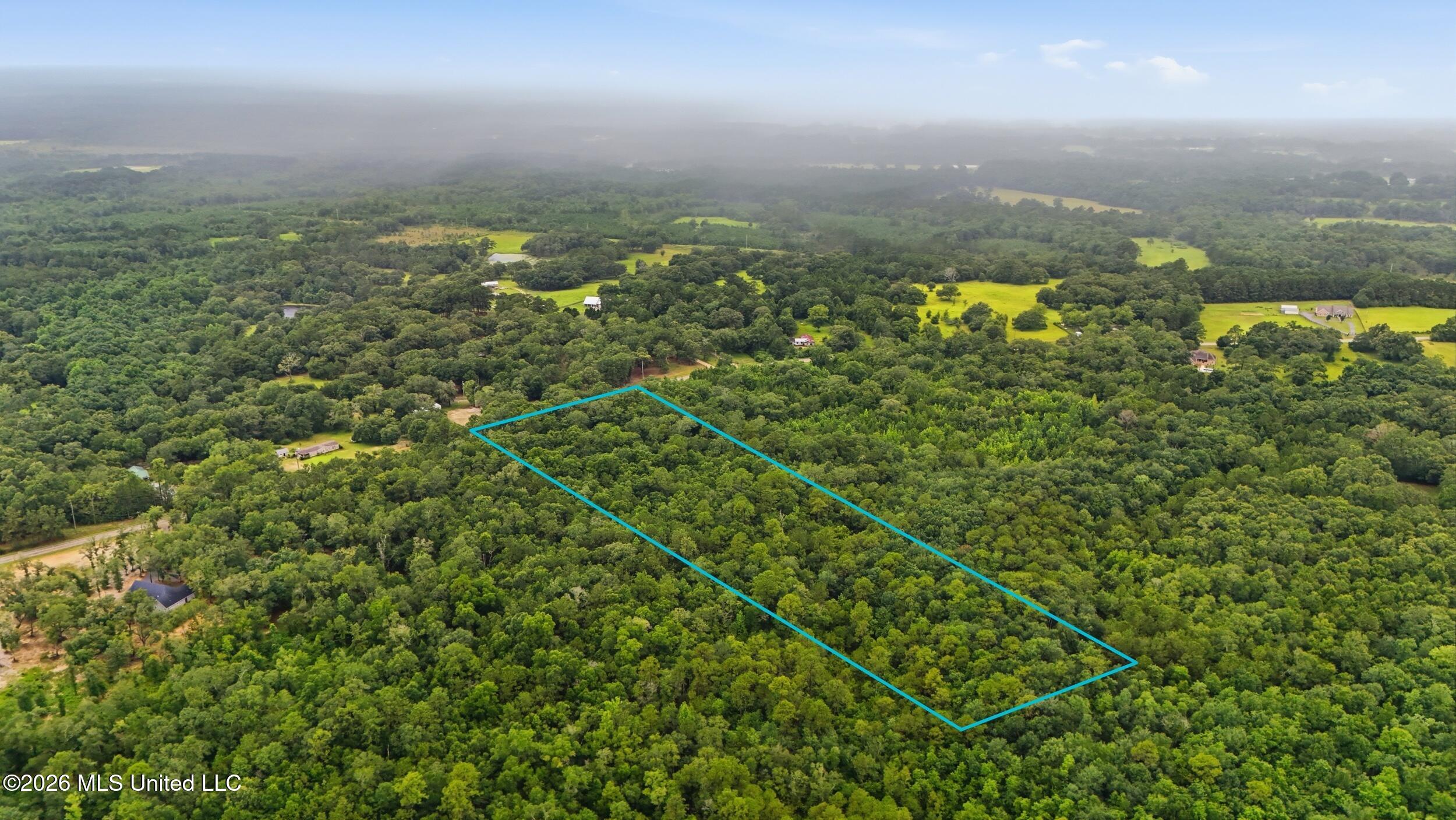 0 Vidalia Road Pass Christian, MS 39571 - Photo 12 of 12 DJI_20260710123651_0829_D - 1