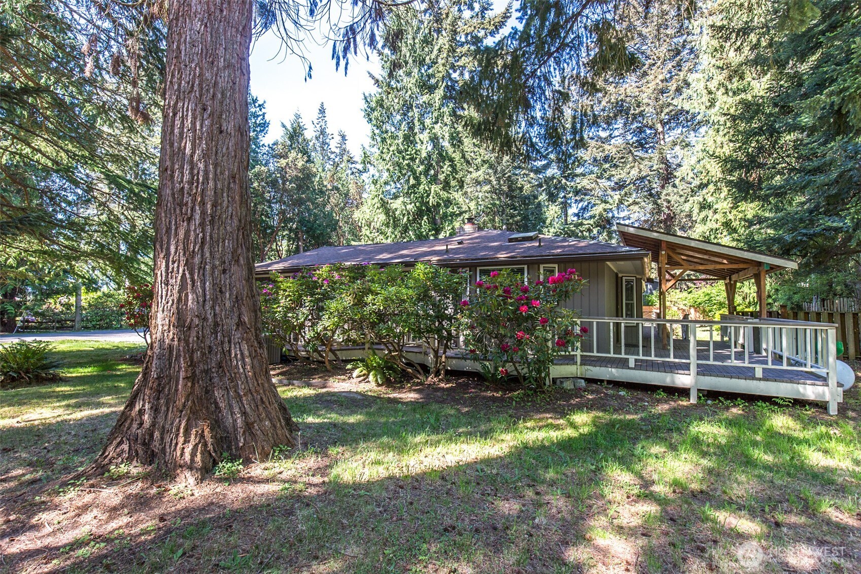 123 Forest Ridge Drive Sequim, WA 98382 - Photo 5 of 32 a view of a garden with a tree