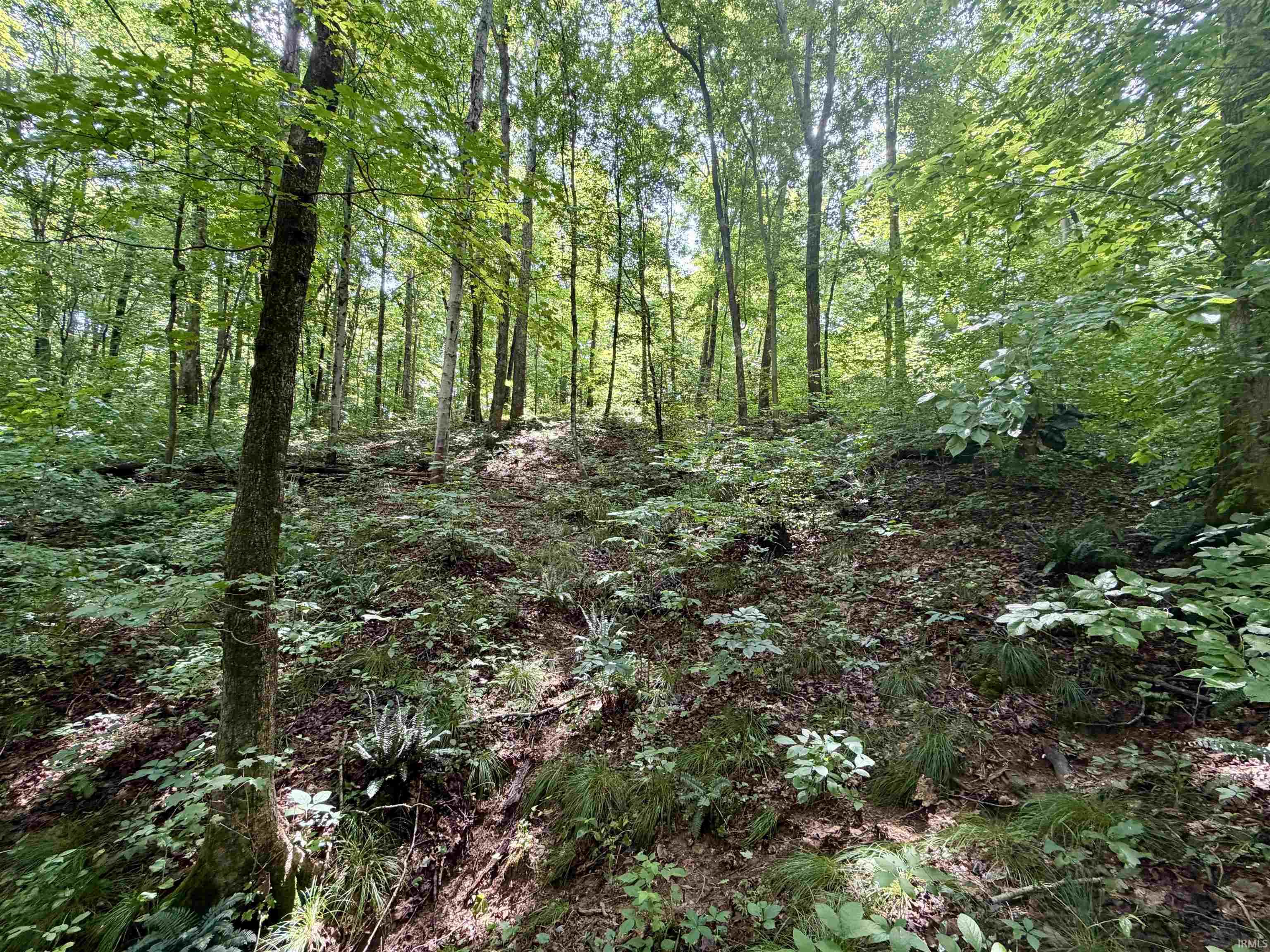 Off Candlestick Road Bristow, IN 47515 - Photo 19 of 30
