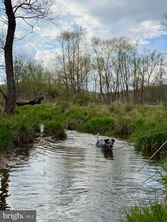 $1,299,000 | 1901 Misty Mdws Lane, Markham, VA 22643