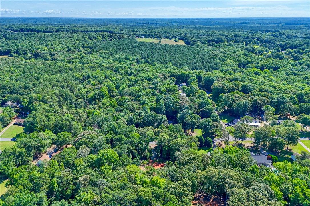 1020 Green Willow Trail Anderson, SC 29621 - Photo 27 of 28 Vast green canopy stretches under an expansive sky, showcasing a peaceful wooded landscape.