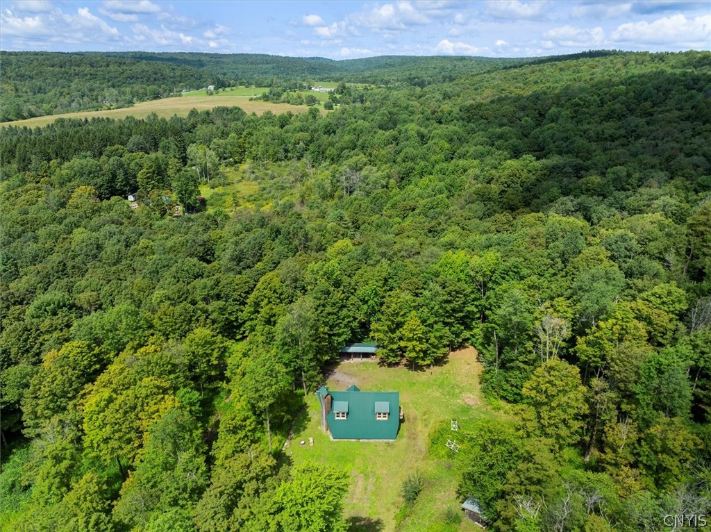 2236 Gorton Lake Road Brookfield, NY 13485 - Photo 47 of 48