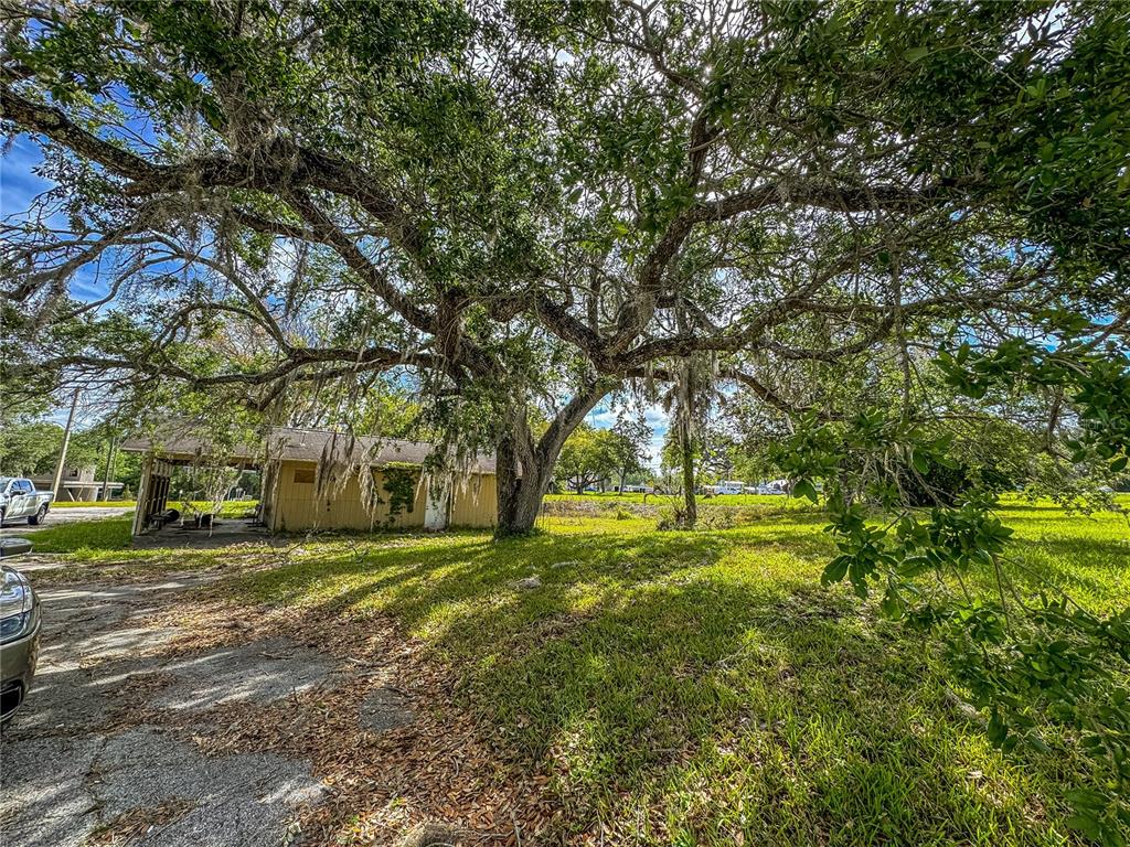615 Hospital Road Brooksville, FL 34601 - Photo 19 of 75 a view of a trees in a yard