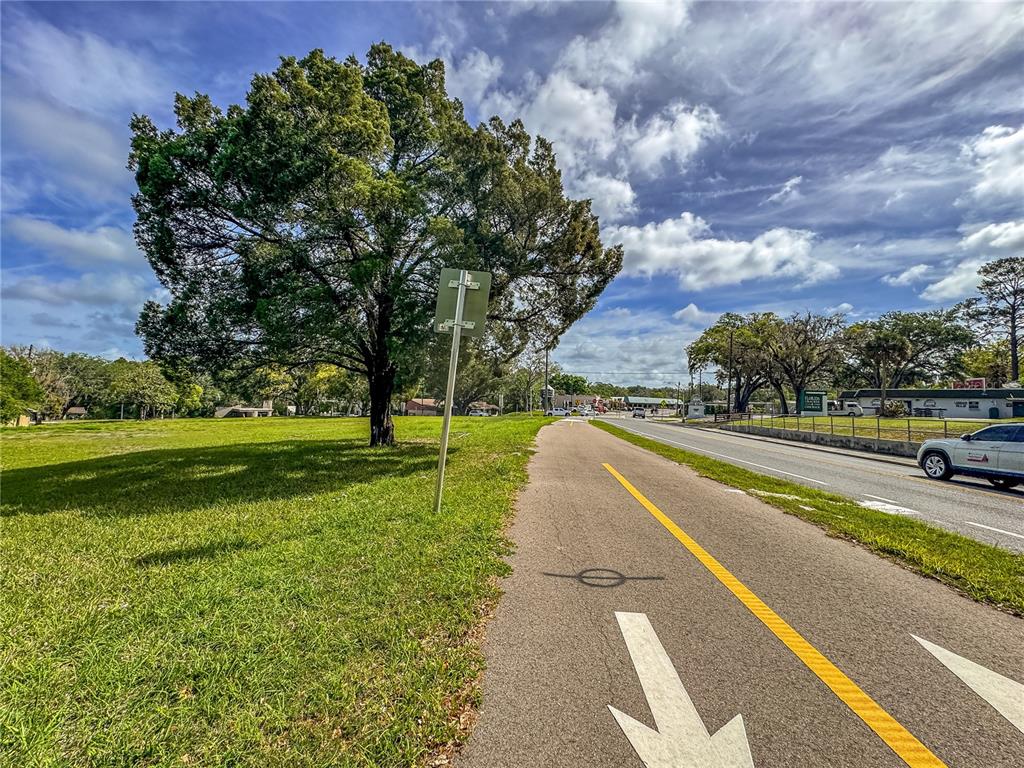 615 Hospital Road Brooksville, FL 34601 - Photo 27 of 75 a view of yard with swimming pool and green space