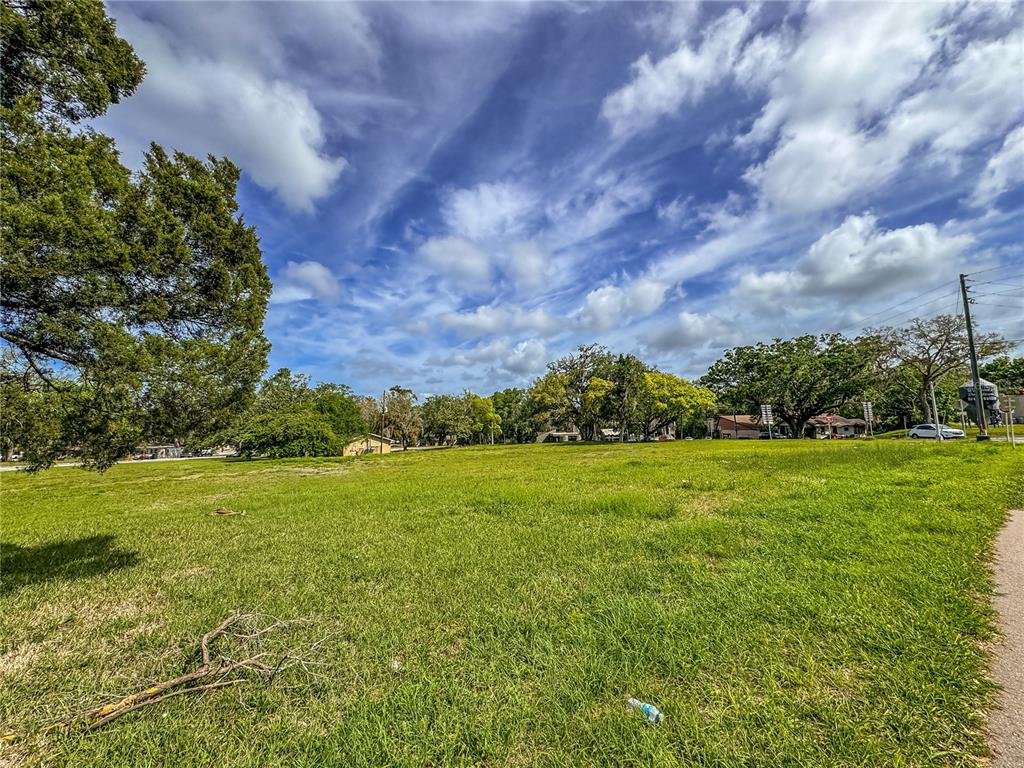 615 Hospital Road Brooksville, FL 34601 - Photo 29 of 75 a view of a big yard with plants and large trees