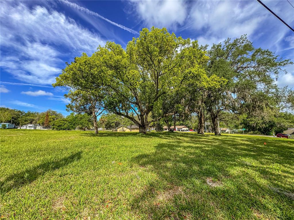 615 Hospital Road Brooksville, FL 34601 - Photo 43 of 75 a view of a field with a tree