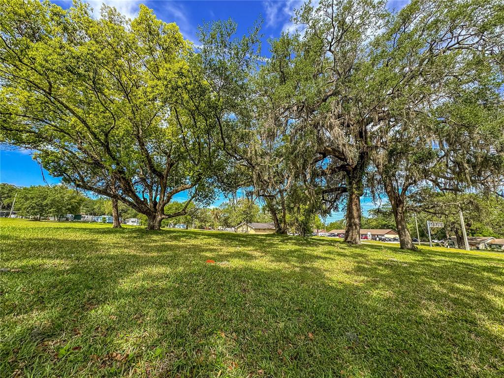 615 Hospital Road Brooksville, FL 34601 - Photo 44 of 75 a view of grassy field with trees