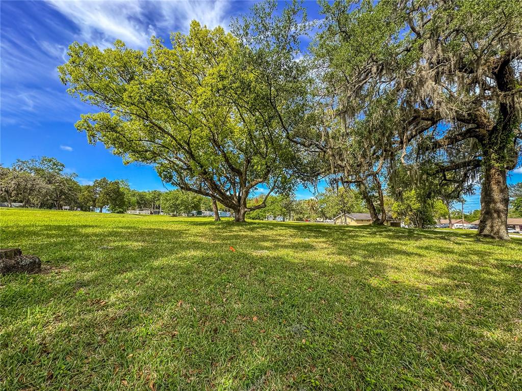 615 Hospital Road Brooksville, FL 34601 - Photo 45 of 75 a view of a field with a tree