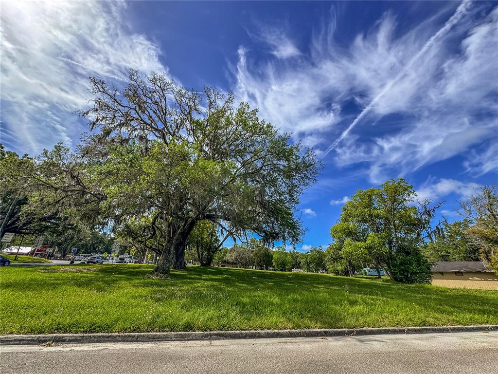 615 Hospital Road Brooksville, FL 34601 - Photo 57 of 75 a view of a backyard with large trees