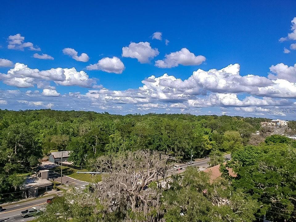 615 Hospital Road Brooksville, FL 34601 - Photo 75 of 75 a view of a yard with a house