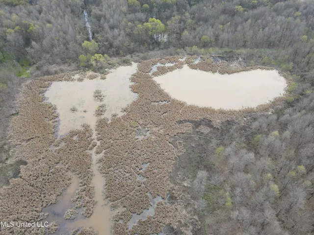 $3,475,650 | 448 Ms, Shaw, MS 38773