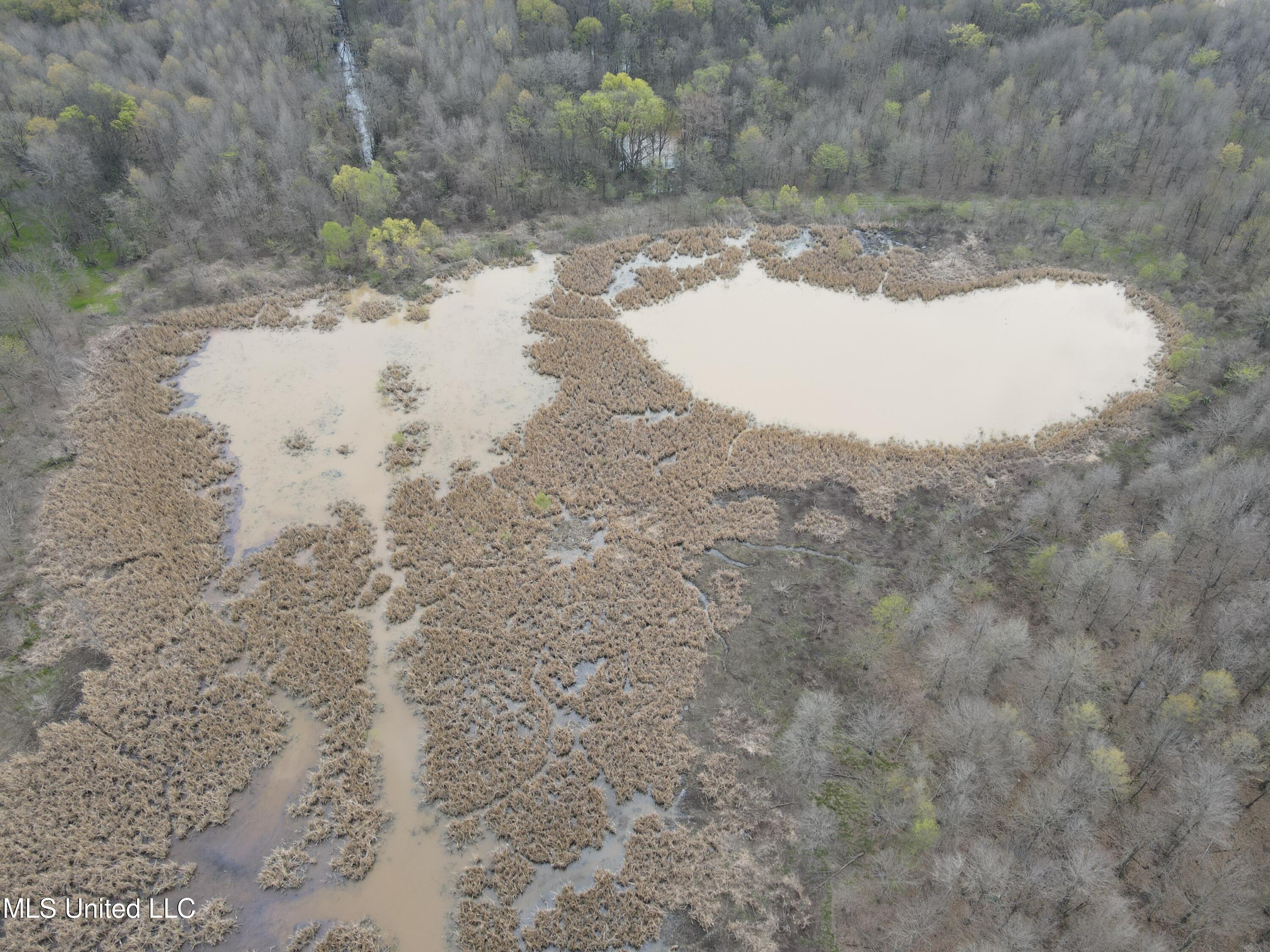 448 Ms Shaw, MS 38773 - Photo 11 of 53 DJI_0090