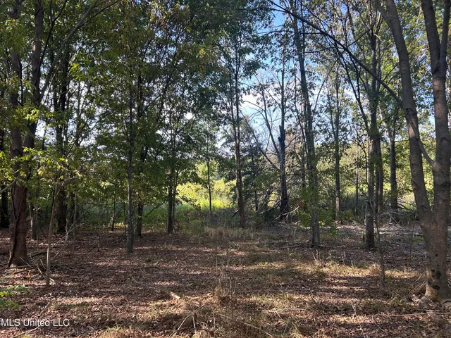 $3,475,650 | 448 Ms, Shaw, MS 38773