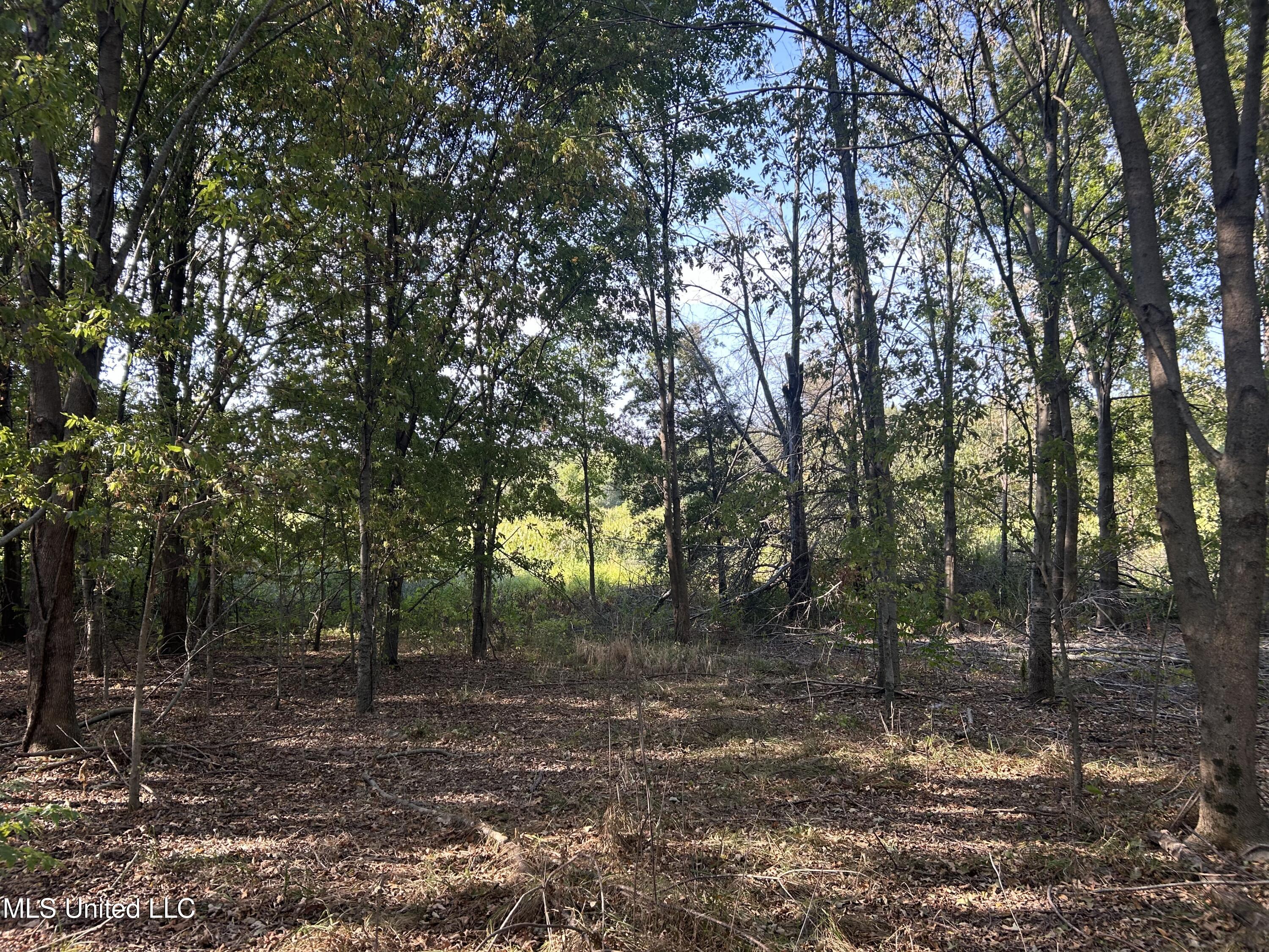 448 Ms Shaw, MS 38773 - Photo 14 of 53 Photo Aug 27 2024, 9 08 04 AM