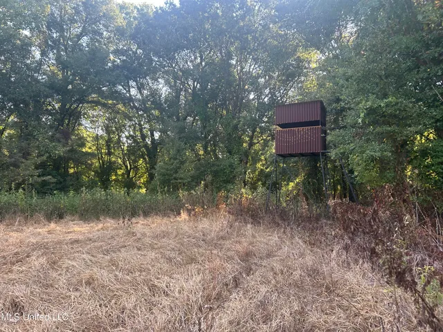 $3,475,650 | 448 Ms, Shaw, MS 38773