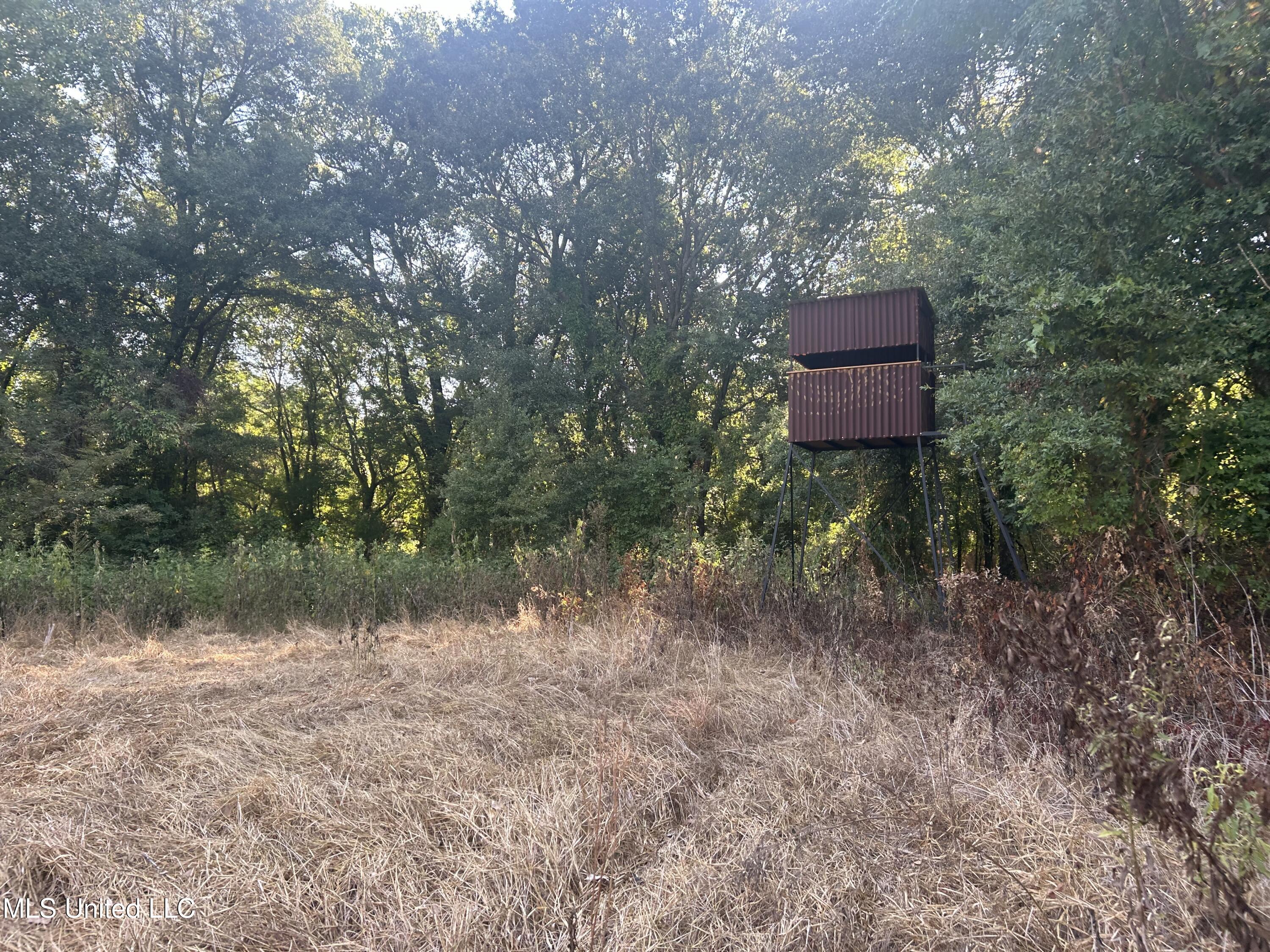 448 Ms Shaw, MS 38773 - Photo 15 of 53 Photo Aug 27 2024, 9 18 54 AM