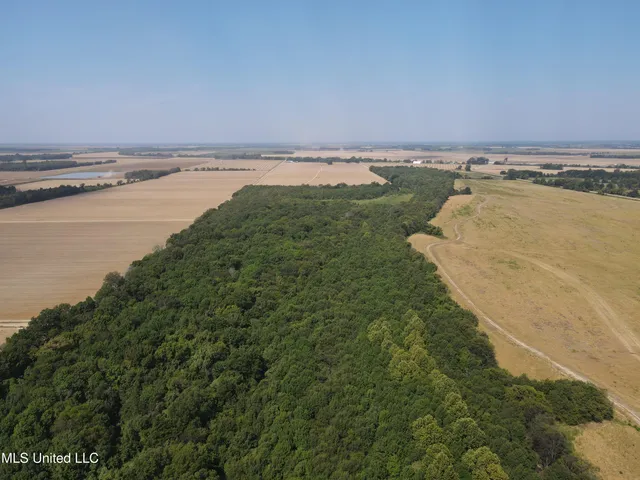 $3,475,650 | 448 Ms, Shaw, MS 38773