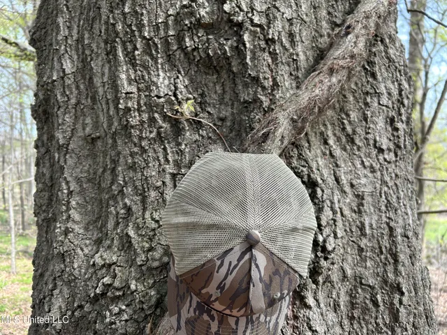 $3,475,650 | 448 Ms, Shaw, MS 38773