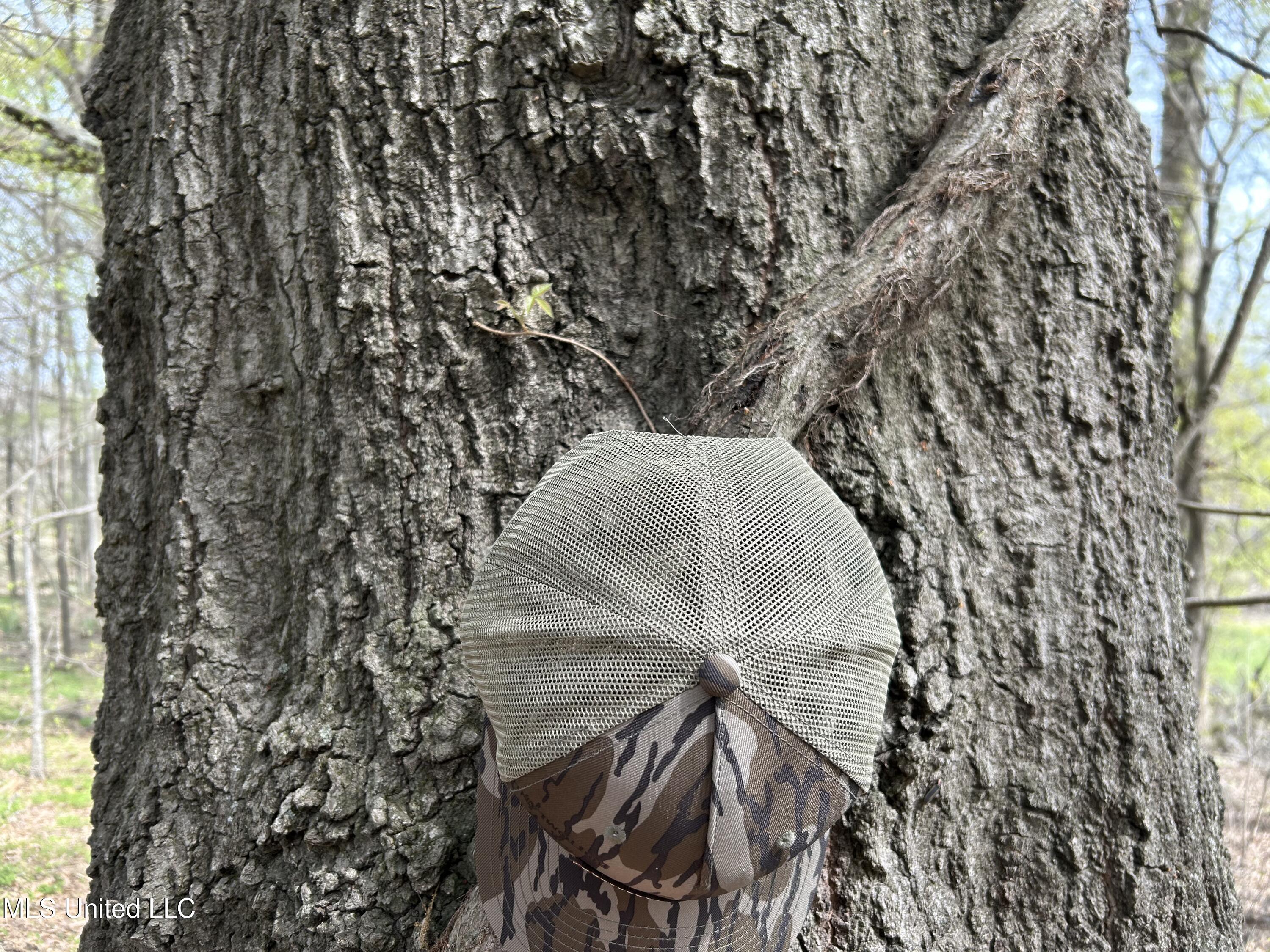 448 Ms Shaw, MS 38773 - Photo 17 of 53 Photo Mar 28 2025, 11 05 23 AM