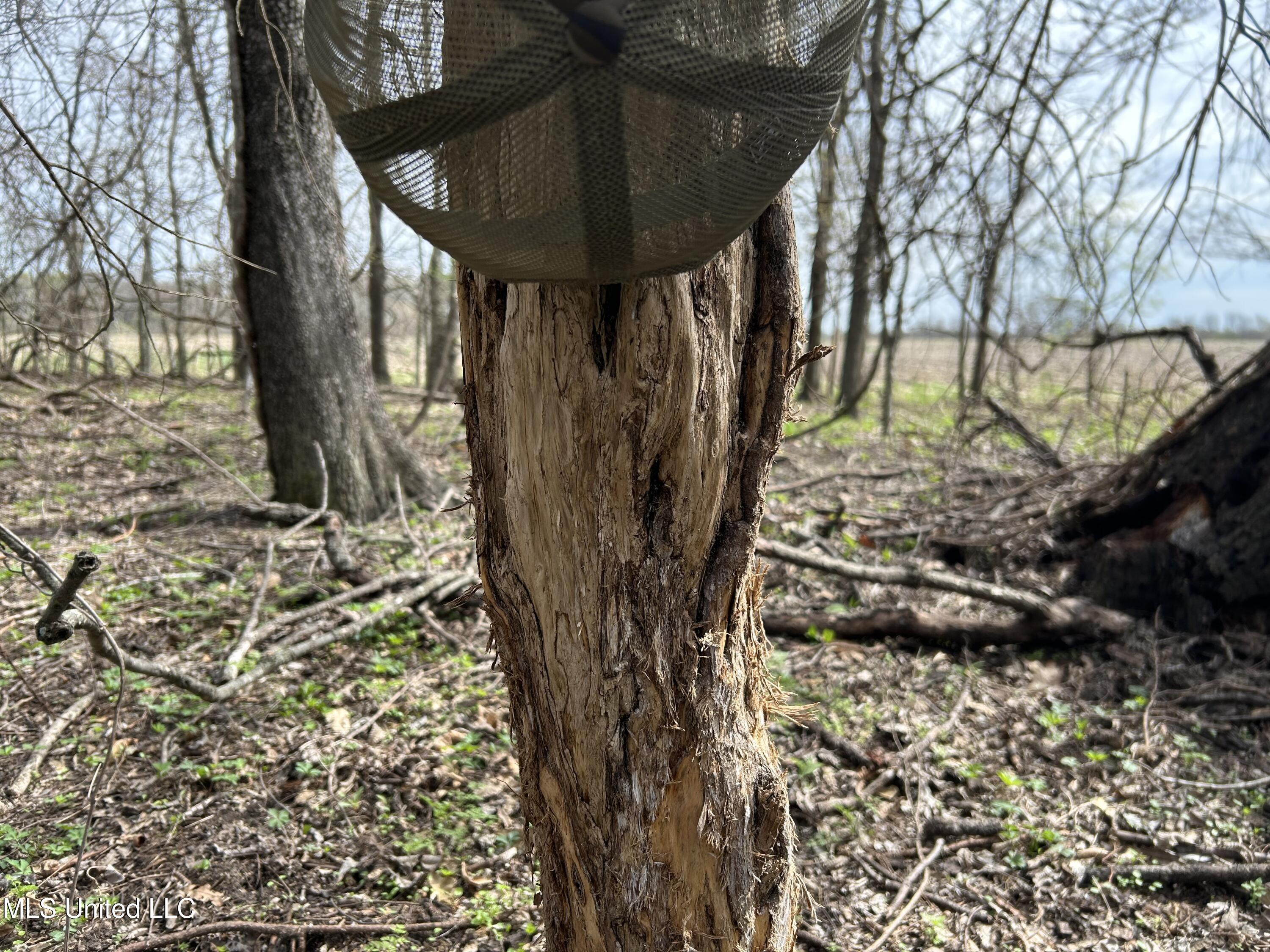 448 Ms Shaw, MS 38773 - Photo 18 of 53 Photo Mar 28 2025, 11 15 13 AM