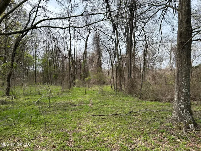 $3,475,650 | 448 Ms, Shaw, MS 38773