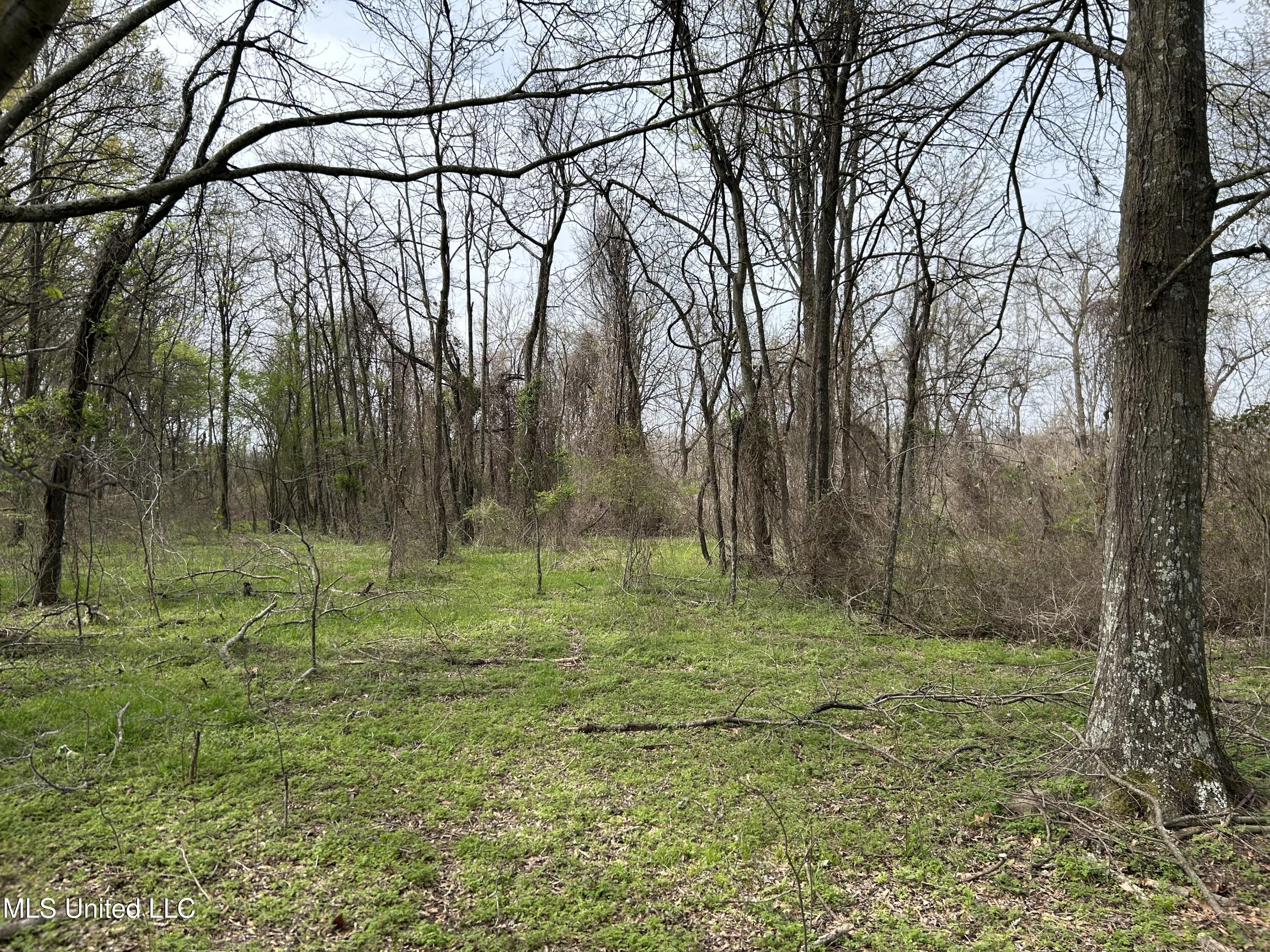 448 Ms Shaw, MS 38773 - Photo 20 of 53 Photo Mar 28 2025, 11 24 26 AM