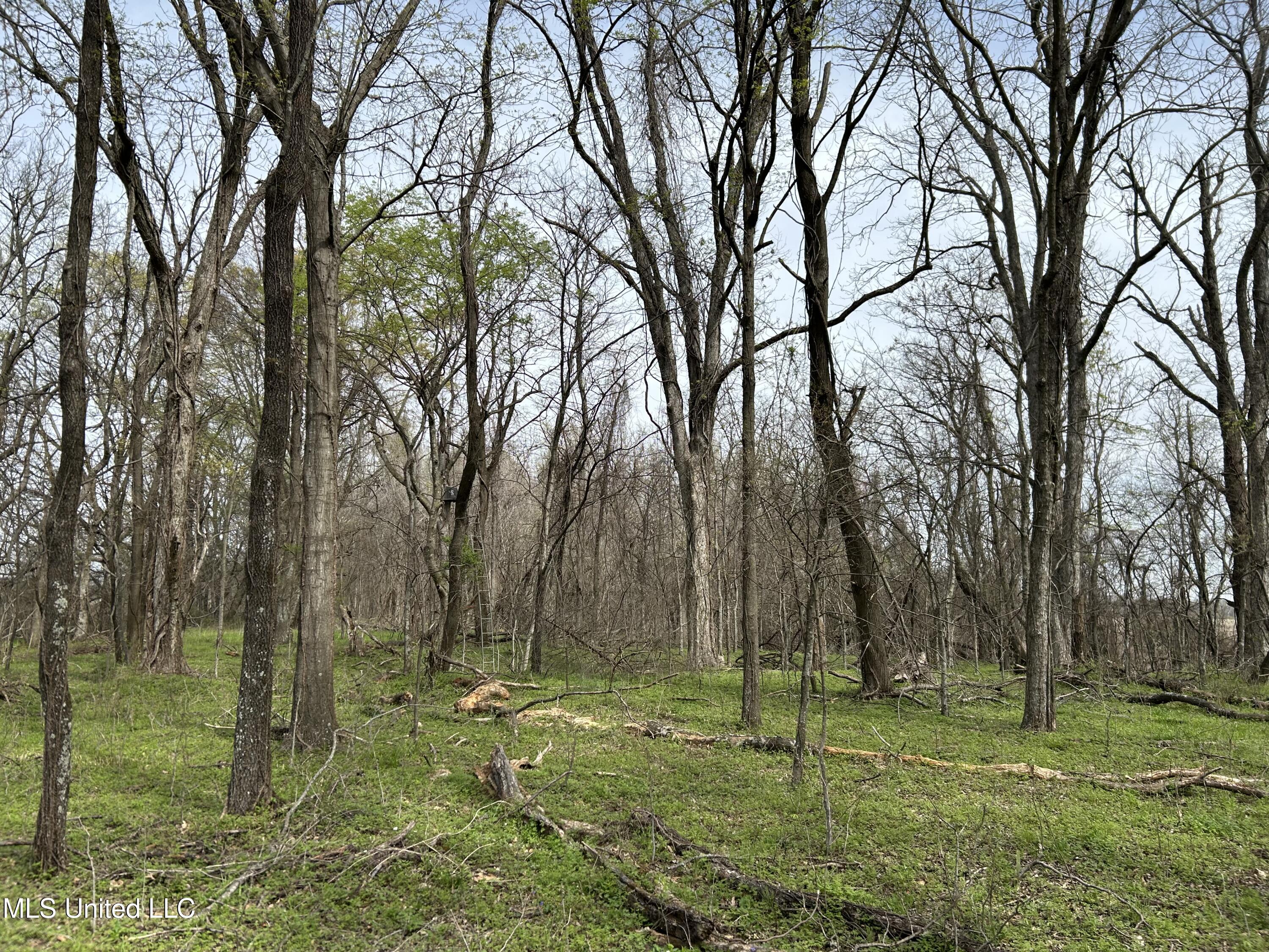 448 Ms Shaw, MS 38773 - Photo 21 of 53 Photo Mar 28 2025, 11 25 27 AM