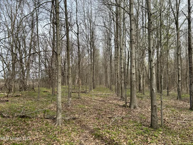 $3,475,650 | 448 Ms, Shaw, MS 38773