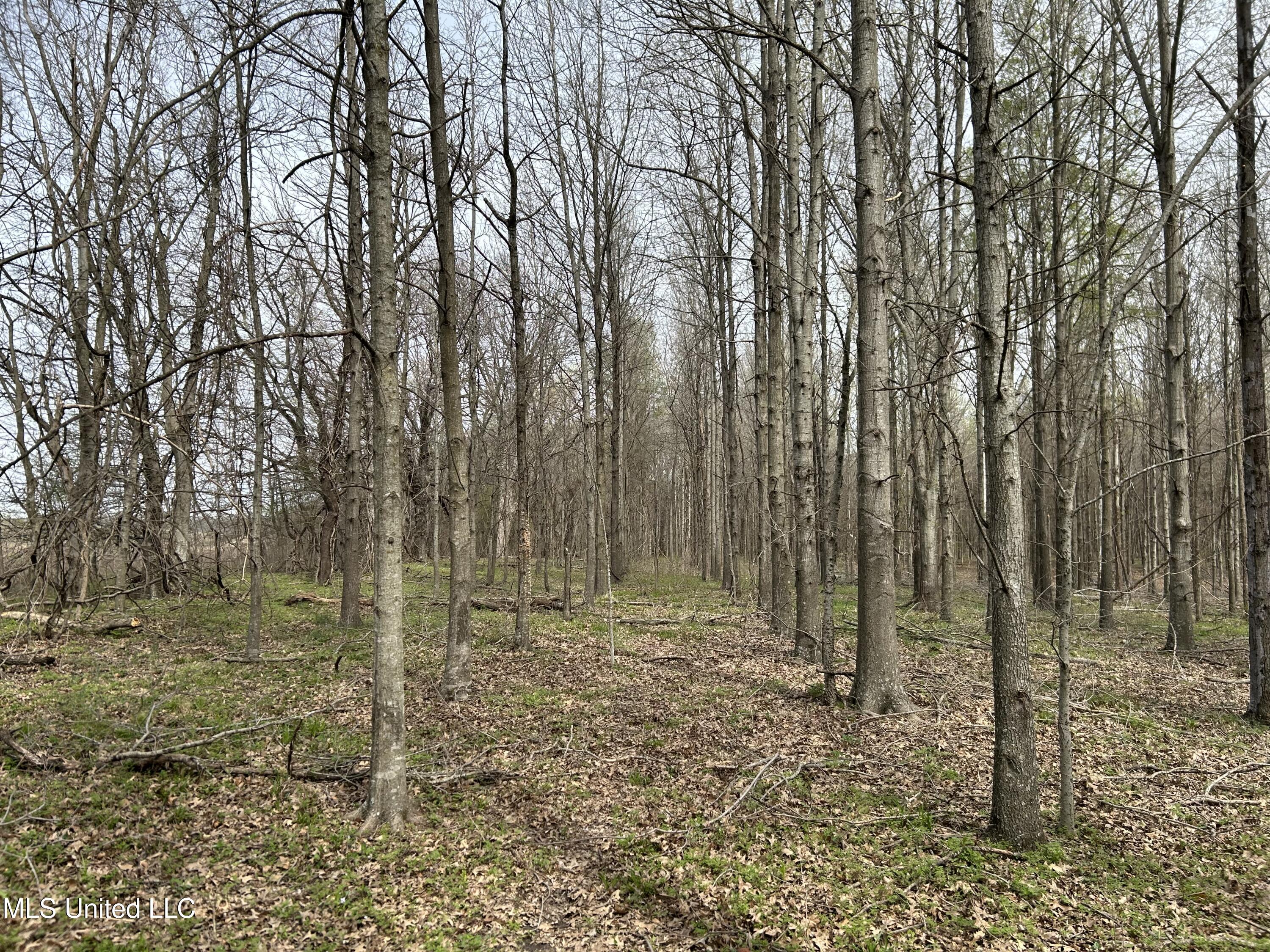 448 Ms Shaw, MS 38773 - Photo 23 of 53 Photo Mar 28 2025, 11 26 58 AM