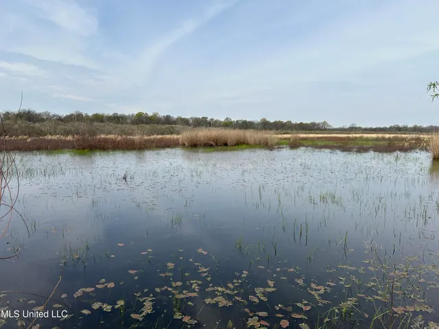 $3,475,650 | 448 Ms, Shaw, MS 38773