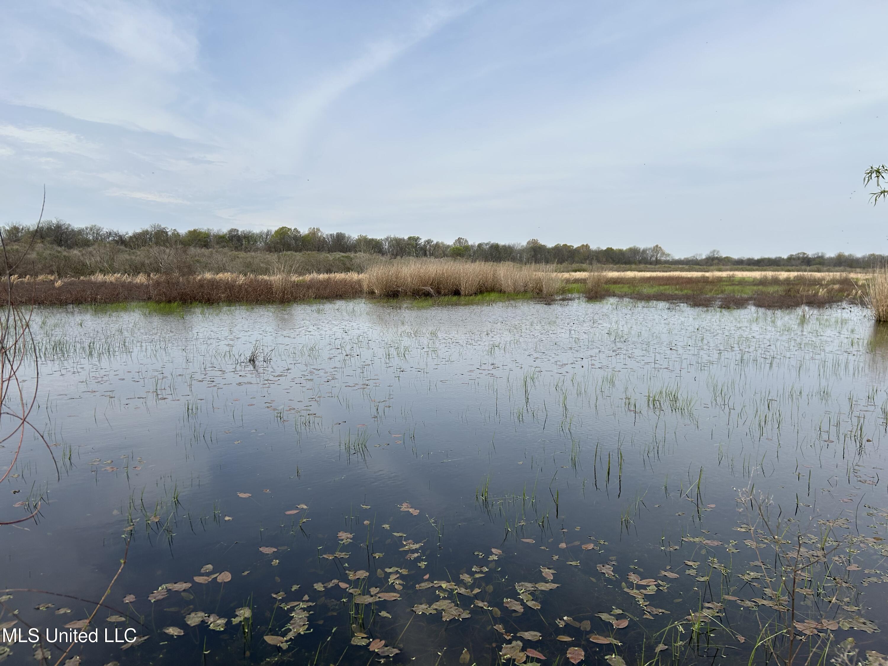 448 Ms Shaw, MS 38773 - Photo 24 of 53 Photo Mar 28 2025, 11 27 38 AM