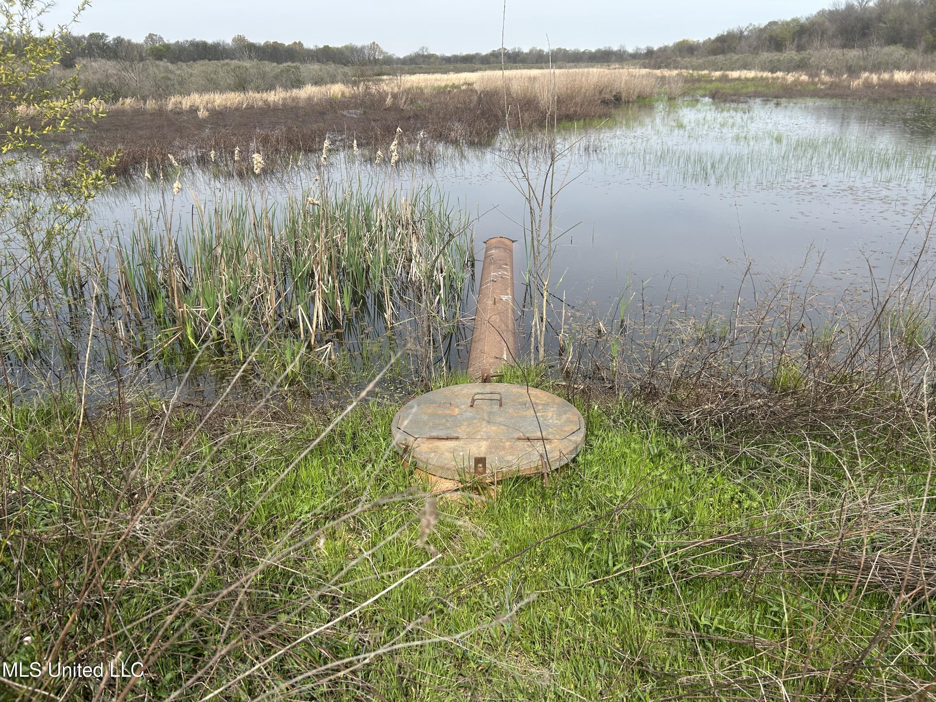 448 Ms Shaw, MS 38773 - Photo 25 of 53 Photo Mar 28 2025, 11 28 08 AM