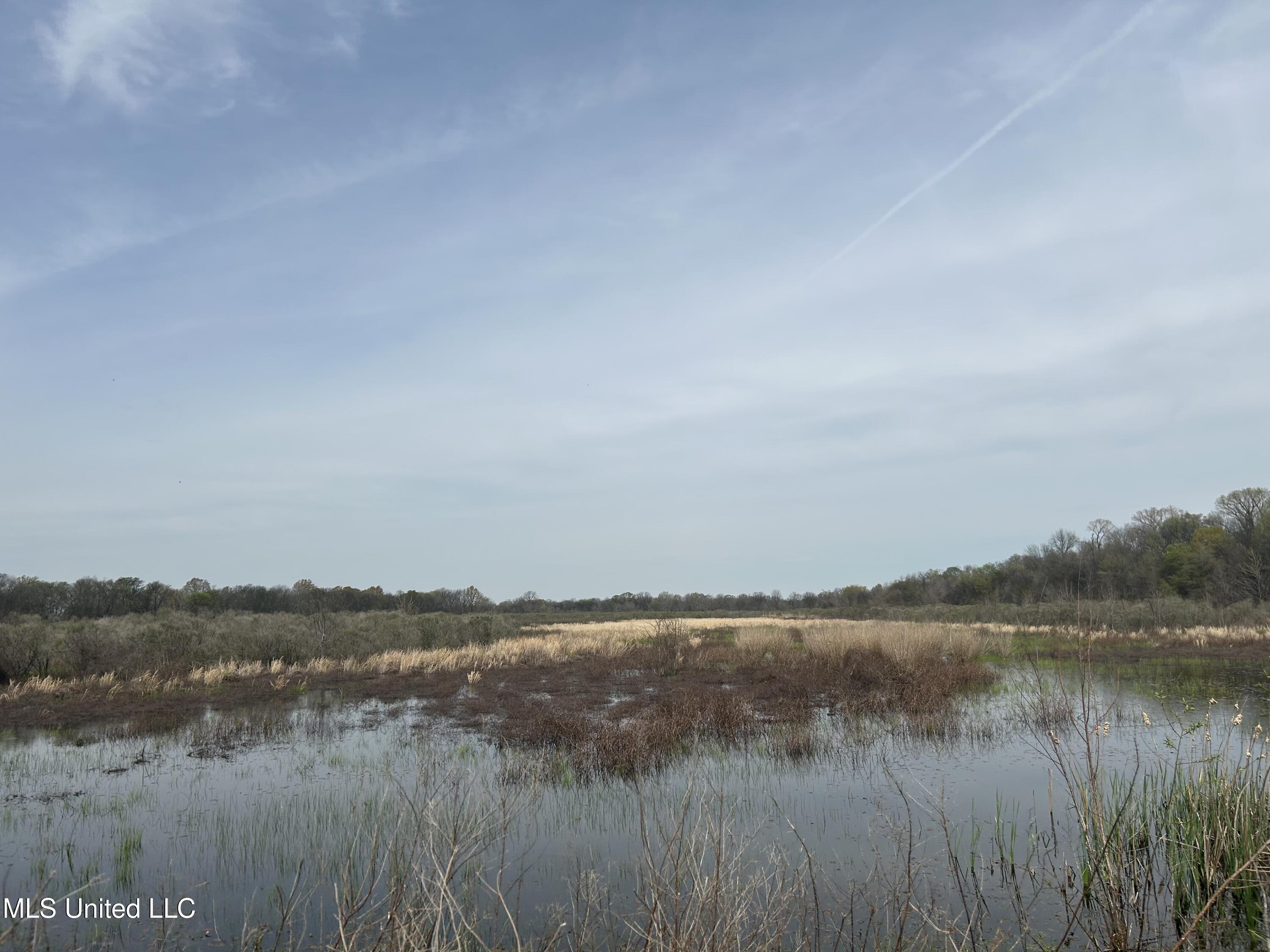 448 Ms Shaw, MS 38773 - Photo 26 of 53 Photo Mar 28 2025, 11 28 16 AM