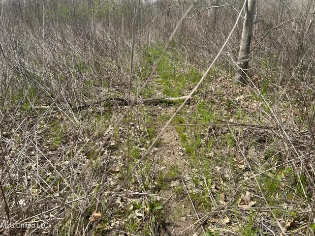 $3,475,650 | 448 Ms, Shaw, MS 38773