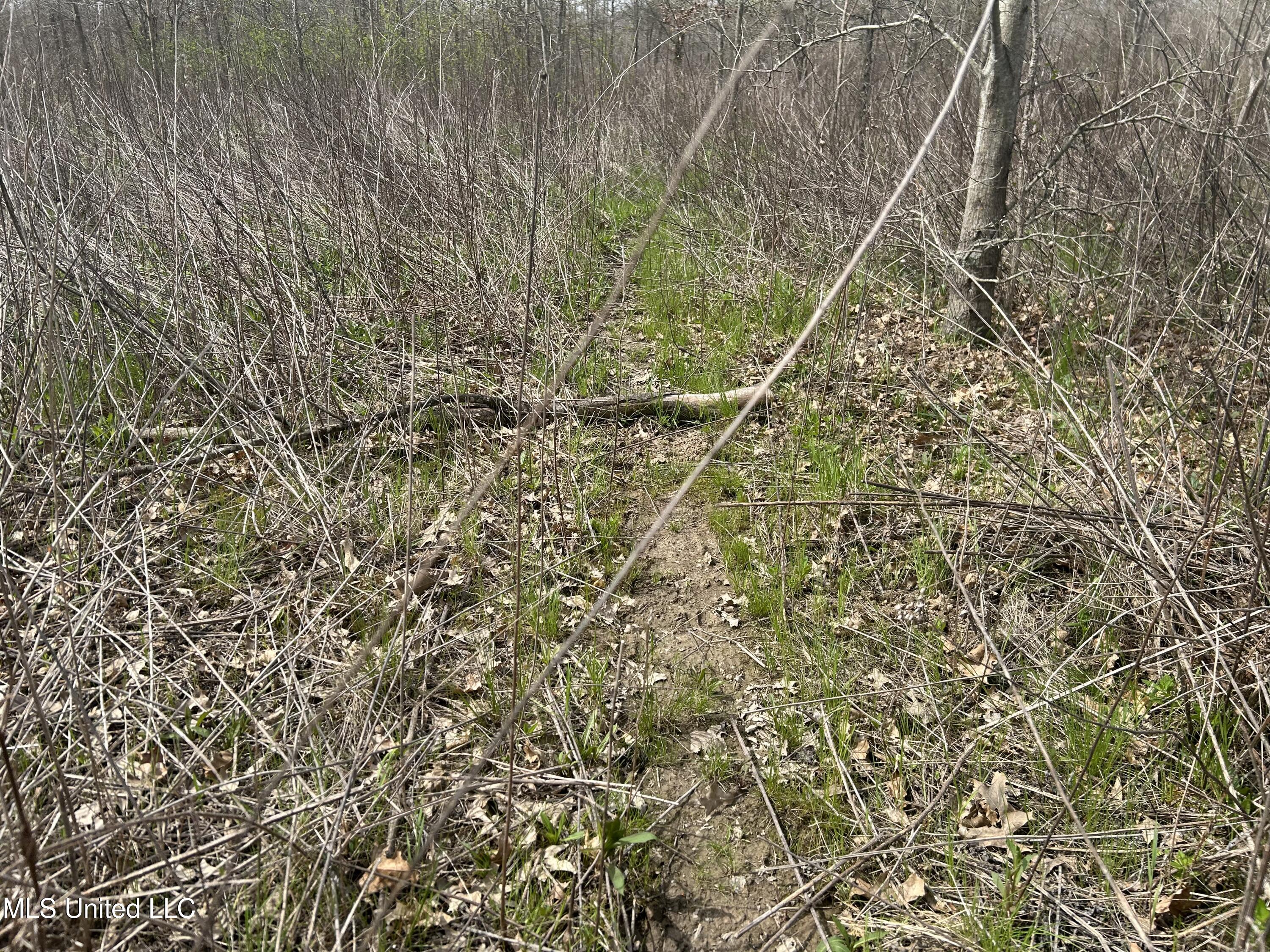 448 Ms Shaw, MS 38773 - Photo 27 of 53 Photo Mar 28 2025, 11 29 01 AM