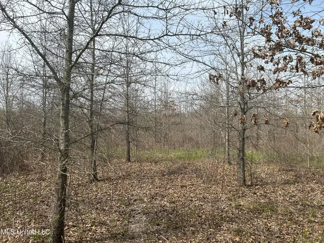 $3,475,650 | 448 Ms, Shaw, MS 38773