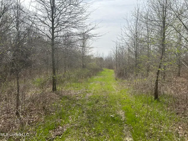 $3,475,650 | 448 Ms, Shaw, MS 38773