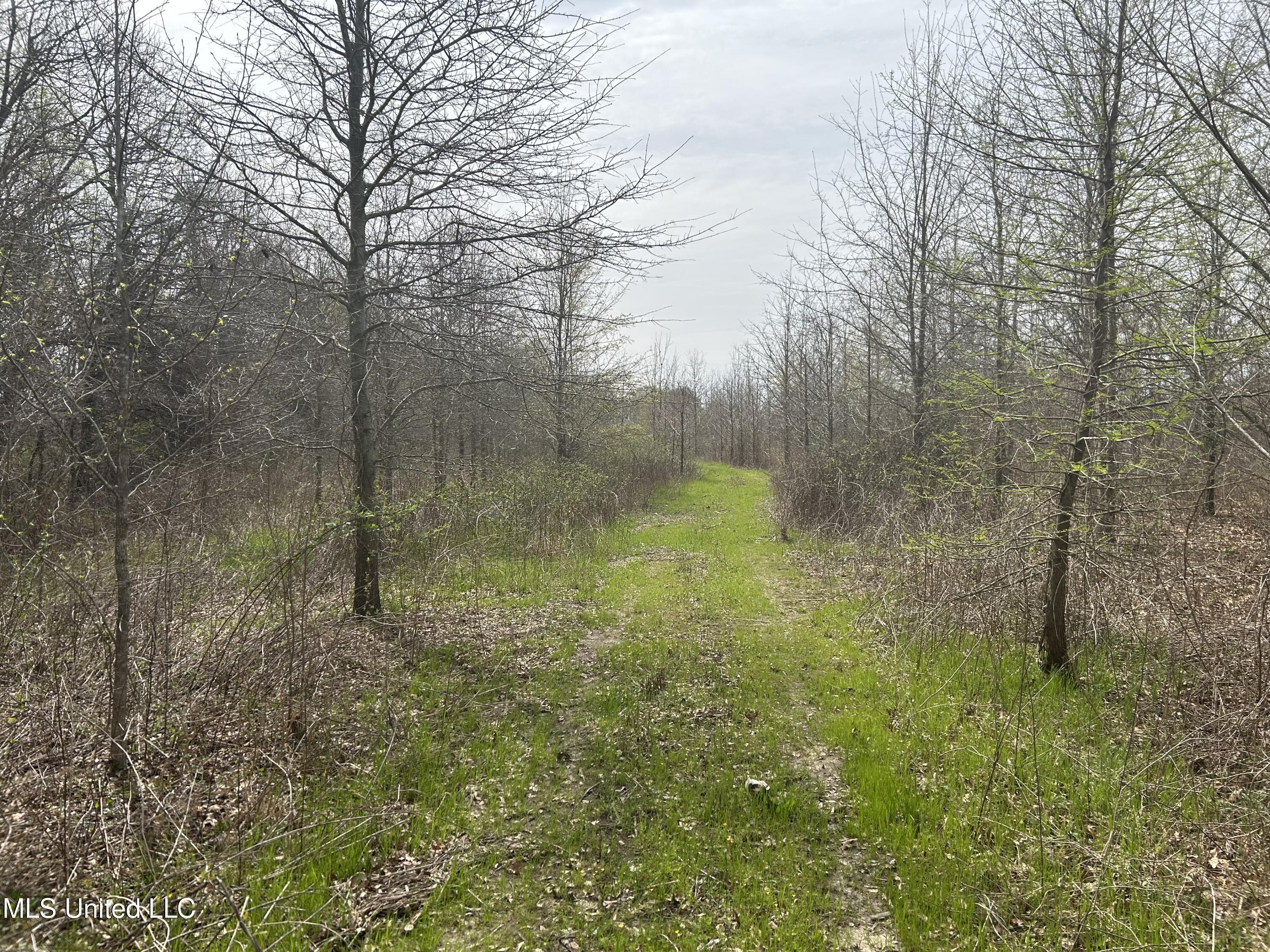 448 Ms Shaw, MS 38773 - Photo 29 of 53 Photo Mar 28 2025, 11 30 03 AM