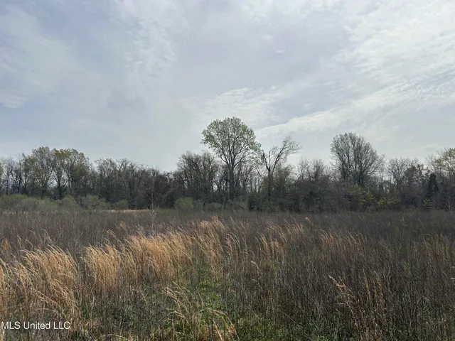 $3,475,650 | 448 Ms, Shaw, MS 38773