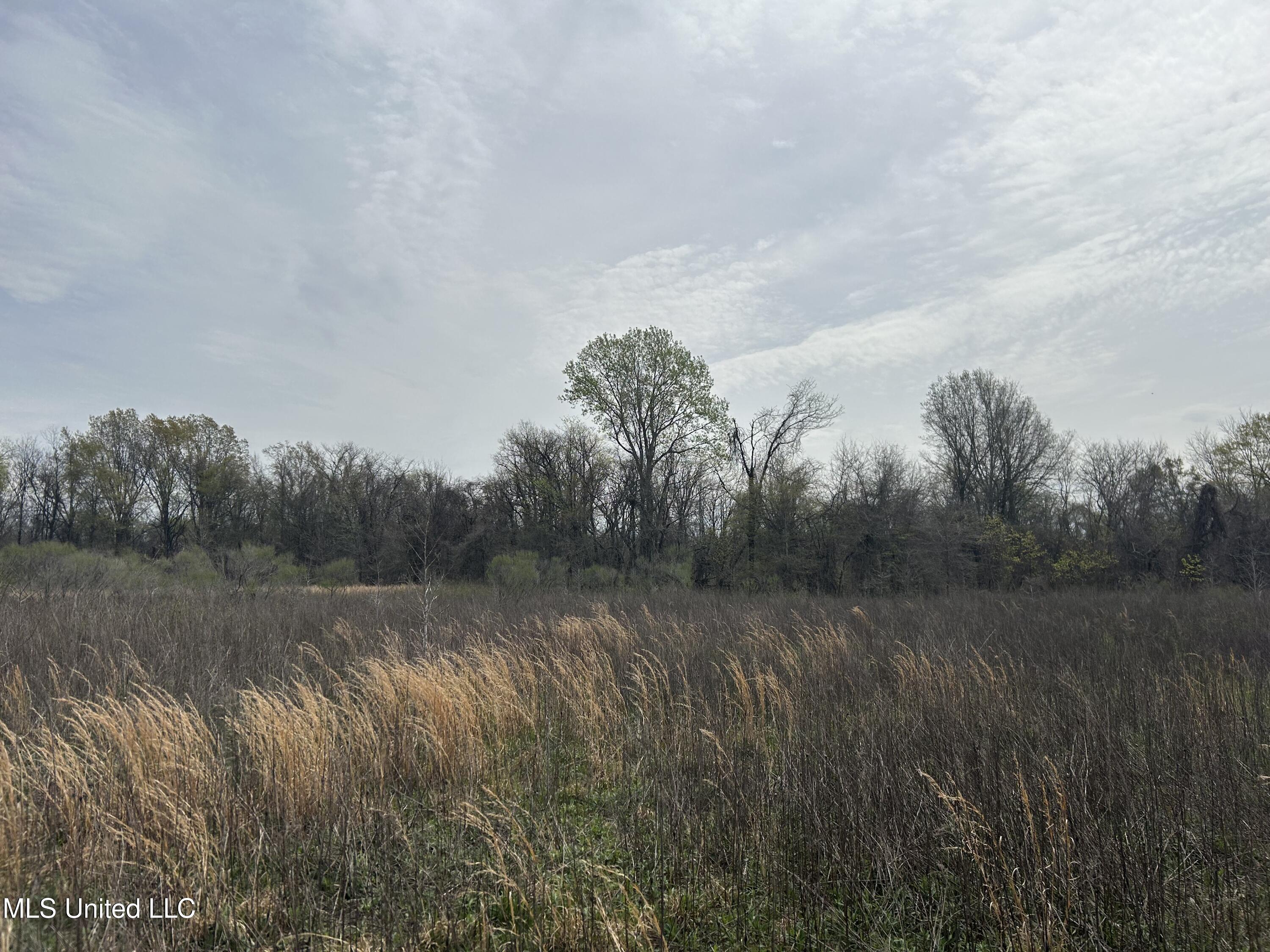 448 Ms Shaw, MS 38773 - Photo 30 of 53 Photo Mar 28 2025, 11 49 46 AM
