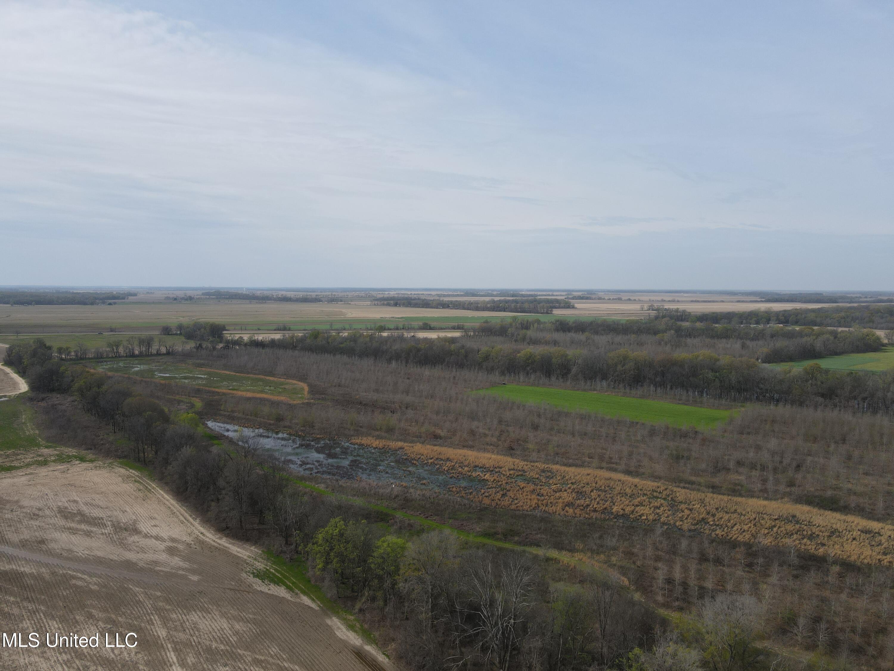 448 Ms Shaw, MS 38773 - Photo 3 of 53 DJI_0065