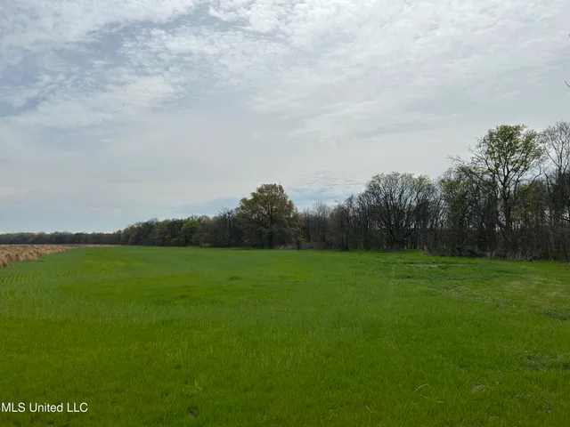 $3,475,650 | 448 Ms, Shaw, MS 38773