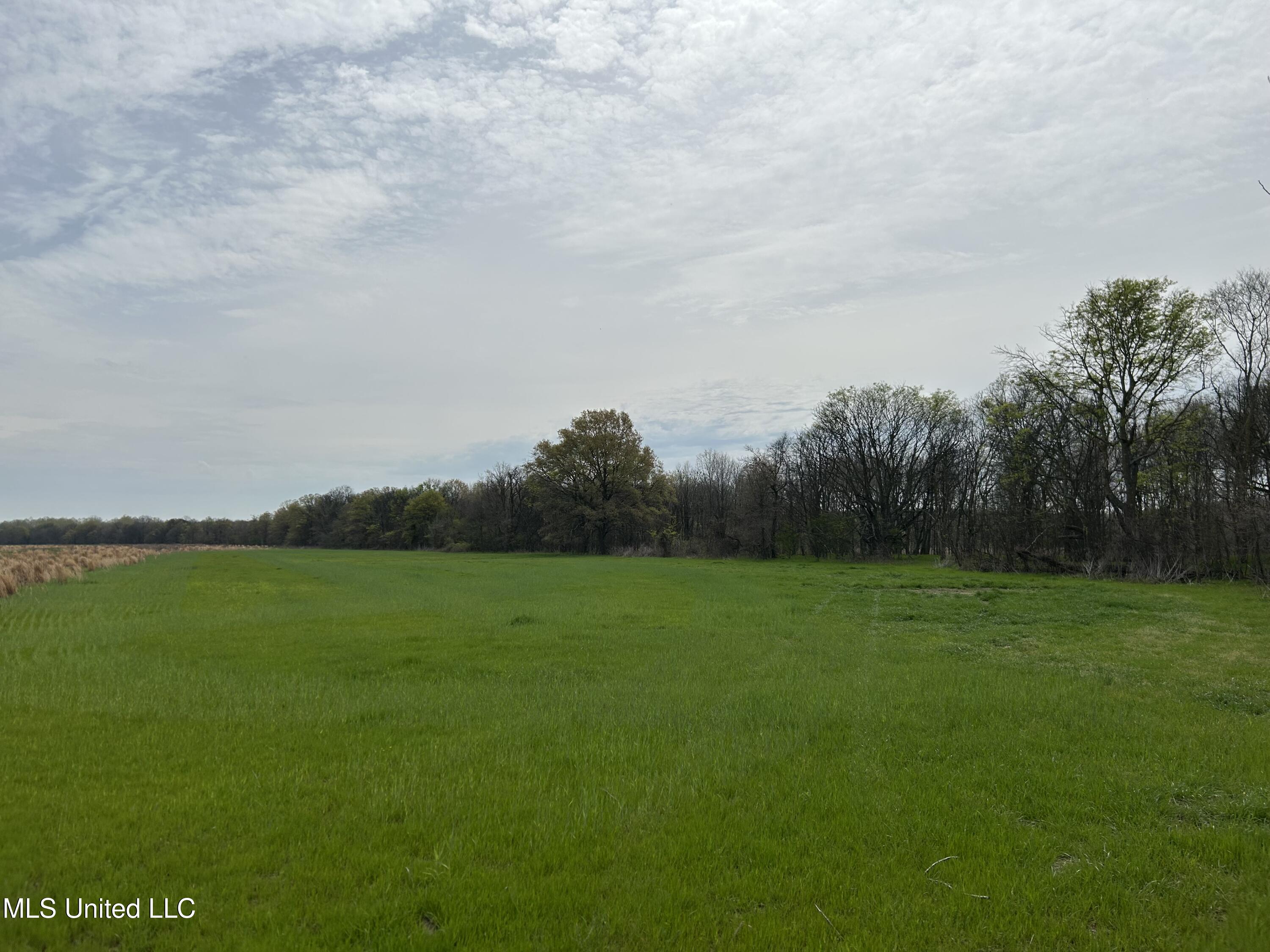 448 Ms Shaw, MS 38773 - Photo 32 of 53 Photo Mar 28 2025, 12 14 48 PM