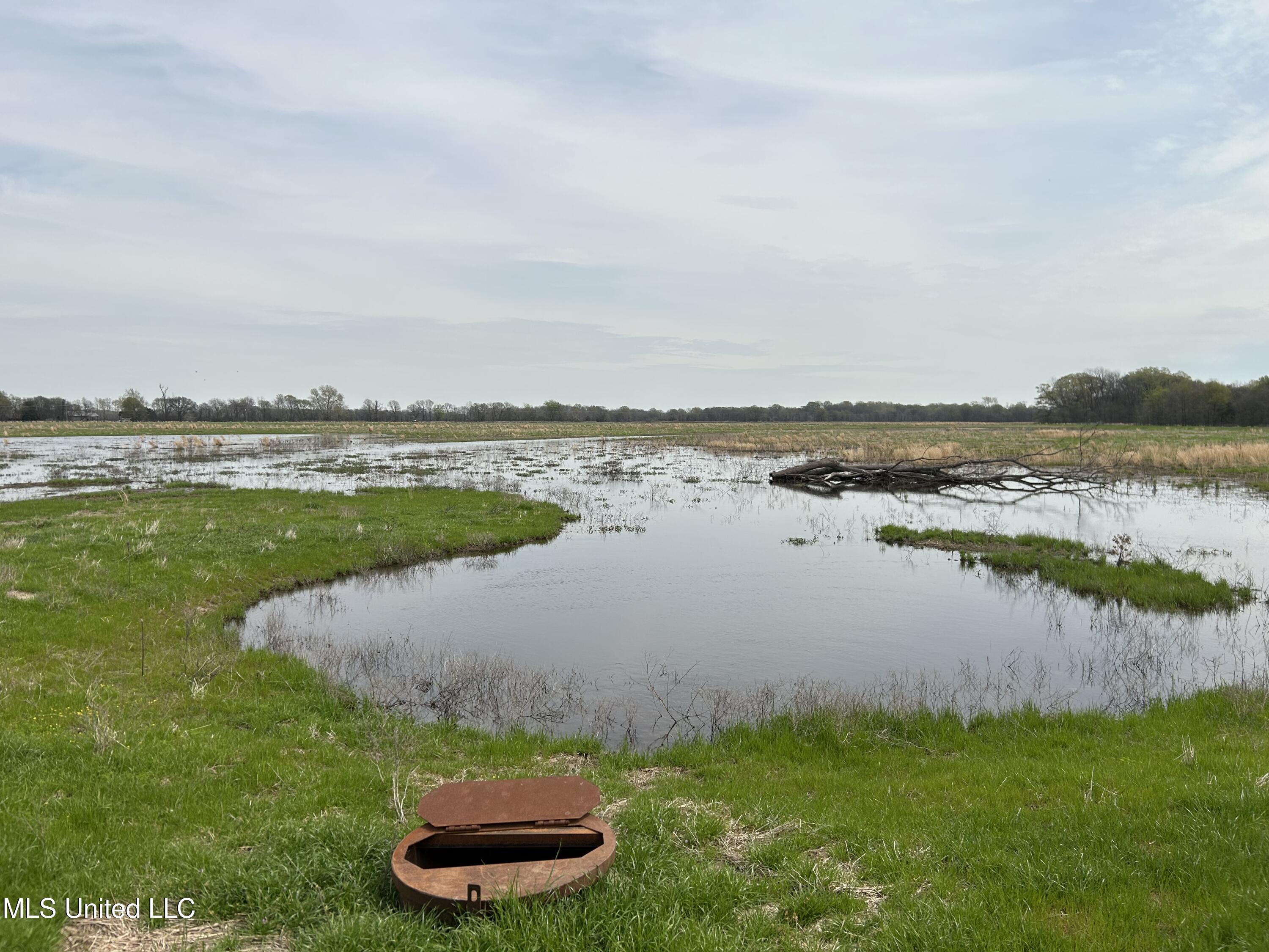 448 Ms Shaw, MS 38773 - Photo 33 of 53 Photo Mar 28 2025, 12 16 18 PM