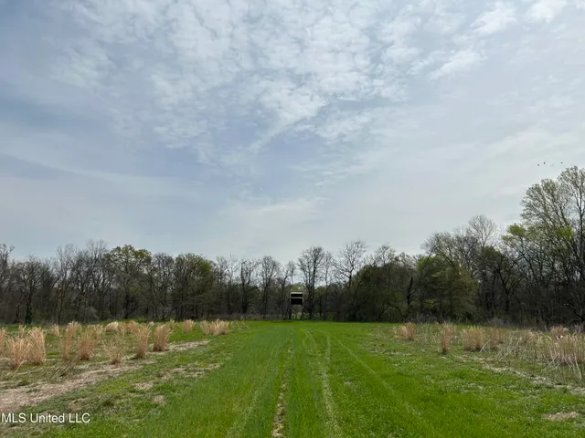 $3,475,650 | 448 Ms, Shaw, MS 38773