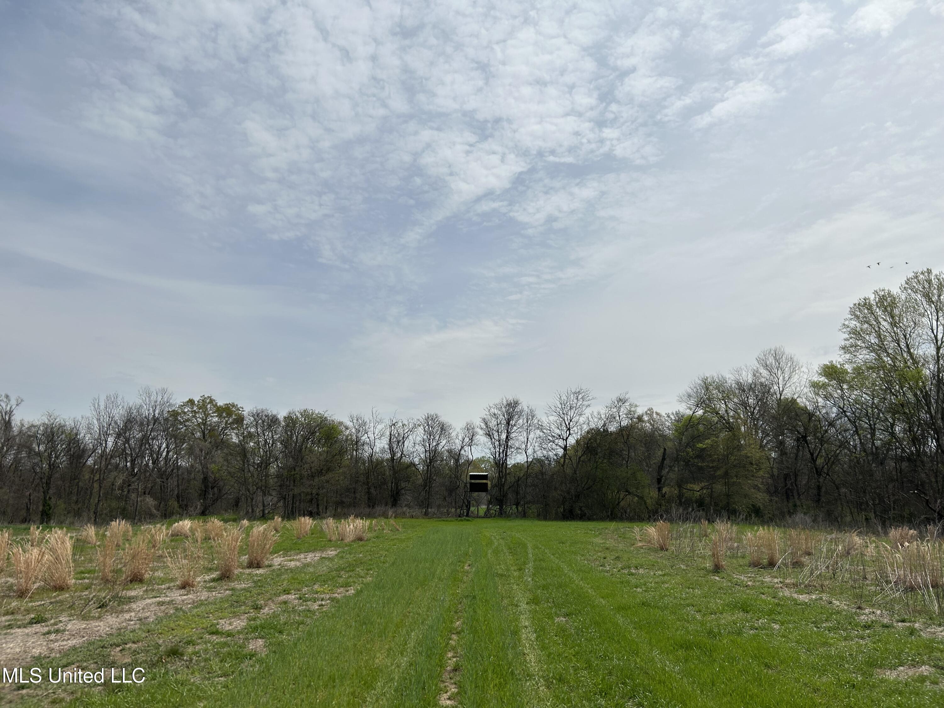 448 Ms Shaw, MS 38773 - Photo 35 of 53 Photo Mar 28 2025, 12 21 42 PM