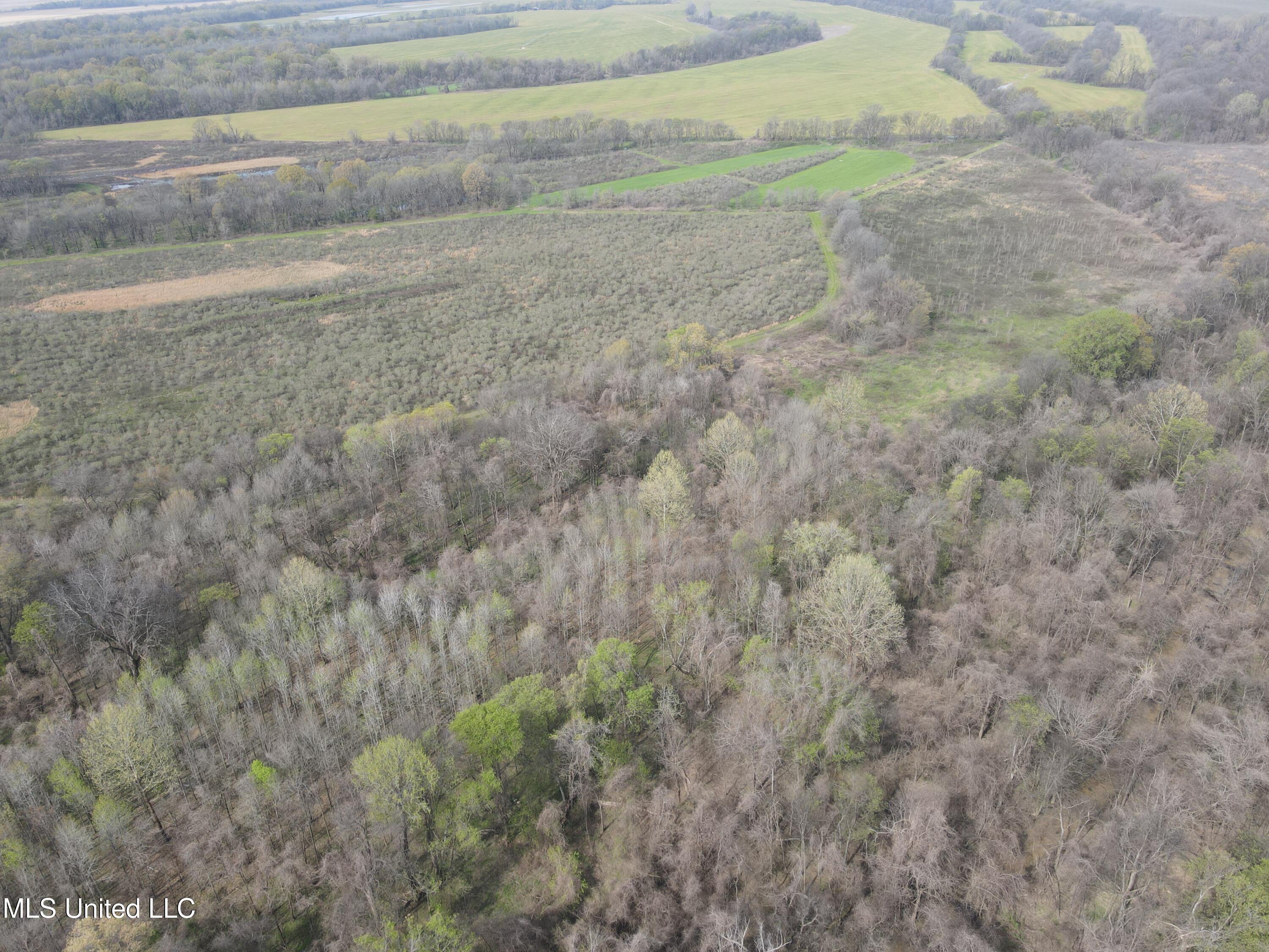 448 Ms Shaw, MS 38773 - Photo 4 of 53 DJI_0069