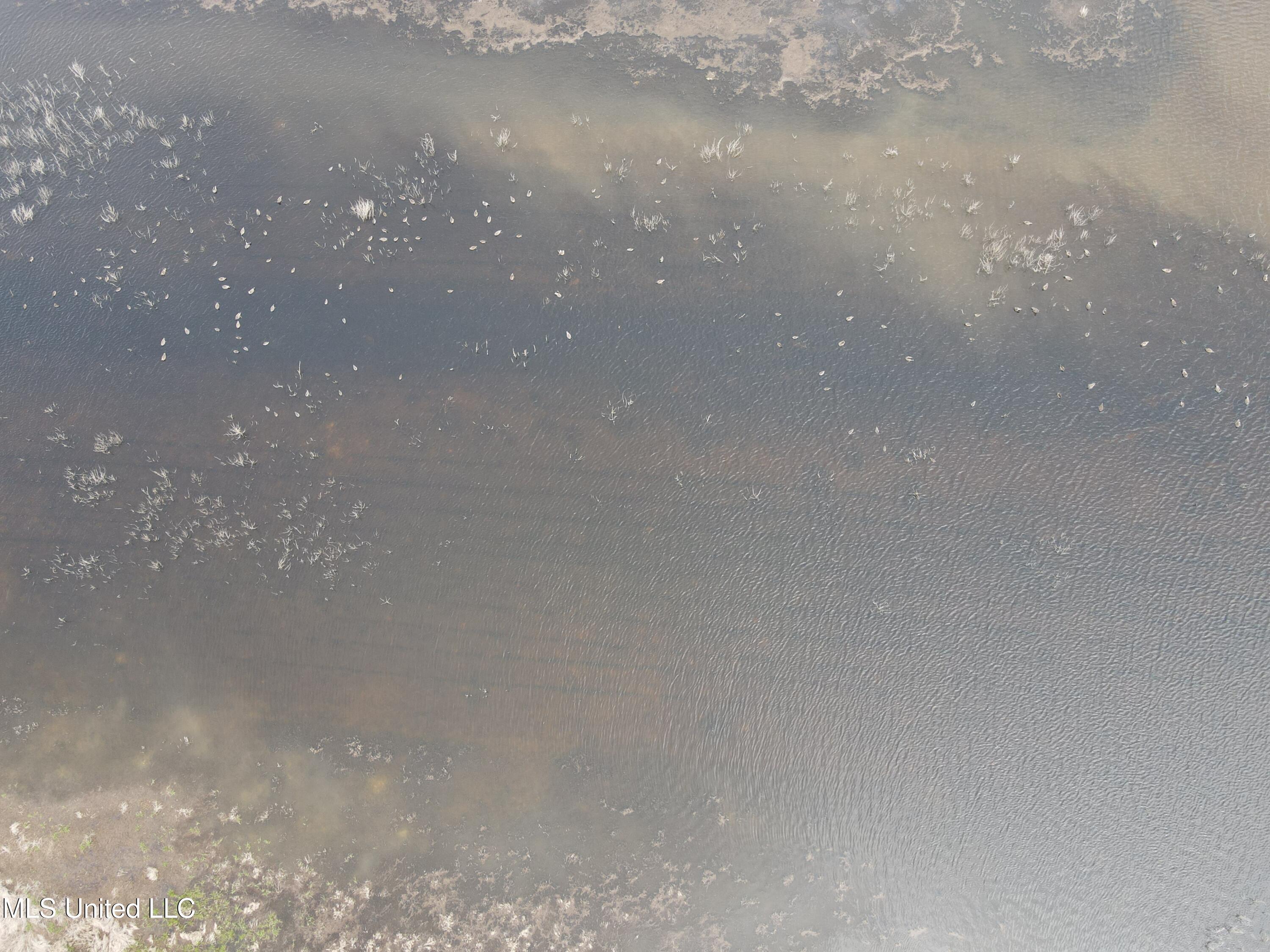 448 Ms Shaw, MS 38773 - Photo 43 of 53 DJI_0095