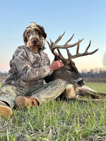 $3,475,650 | 448 Ms, Shaw, MS 38773