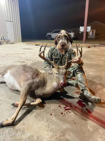 $3,475,650 | 448 Ms, Shaw, MS 38773